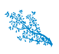 eda