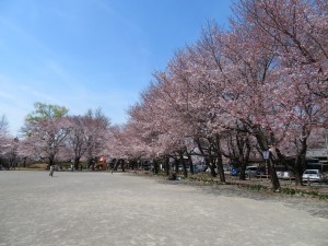 IMG_0027