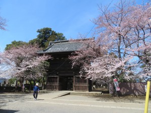 IMG_0028