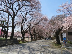 IMG_0029
