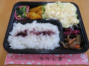 IMG_0031
