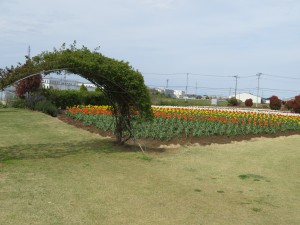 IMG_0035