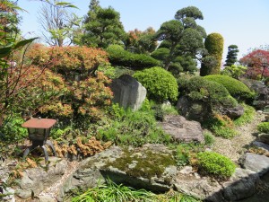 IMG_0059