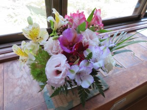 IMG_0061