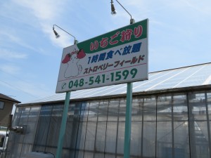 IMG_0065