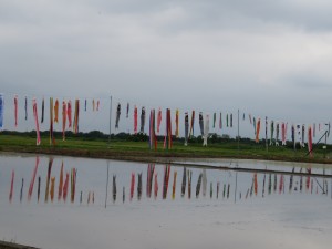 IMG_0079
