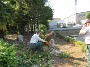 IMG_0096
