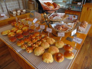IMG_0104