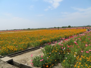IMG_0112