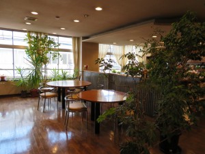 IMG_0137