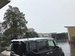 IMG_0444