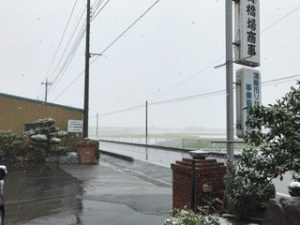 IMG_0445